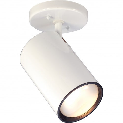 1-Light Close-to-Ceiling Semi-Flush LED R30 Straight Cylinder Light Fixture – HLCLN60133
