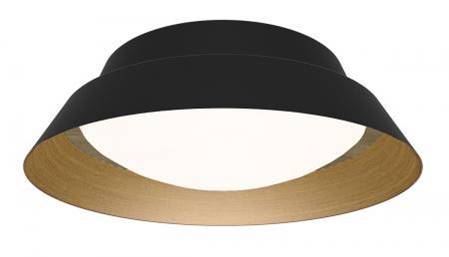 Modern Matte Black Ceiling Light with Frosted White Shade – HLLC15064