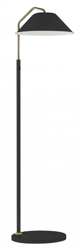 Matte Black & Brushed Brass LED Floor Lamp – HLHF6023