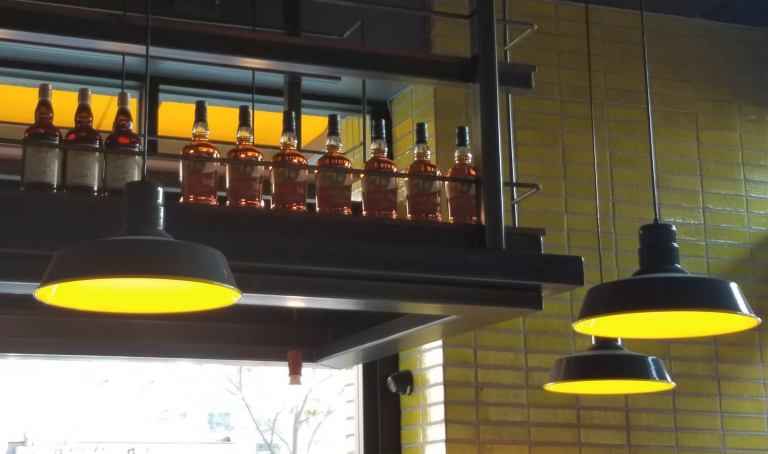 RLM Series Architectural LED Lighting – Classic, Barn, and Slanted Shades