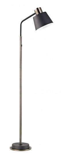 Light Brushed Bronze & Matte Black LED Floor Lamp – HLW10023